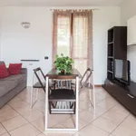 Rent 4 bedroom apartment of 60 m² in Seveso