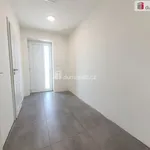 Rent 1 bedroom house of 112 m² in Tuhaň