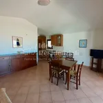 Rent 1 bedroom apartment of 70 m² in Olbia