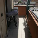 Rent 2 bedroom apartment of 56 m² in Pescara