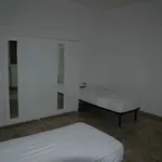 Rent a room in bologna