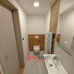 Rent 2 bedroom apartment in Brno