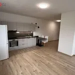 Rent 2 bedroom apartment of 1688 m² in Pelhřimov