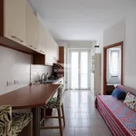 Rent 2 bedroom apartment of 55 m² in Milano