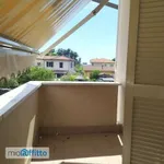 Rent 3 bedroom apartment of 70 m² in Massa