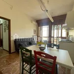 Rent 2 bedroom apartment of 54 m² in Reggio nell'Emilia