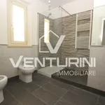 Rent 3 bedroom apartment of 115 m² in Roma