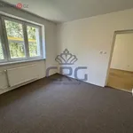 Rent 4 bedroom apartment of 71 m² in Trhový Štěpánov