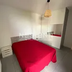 Rent 2 bedroom apartment in TOULOUSE