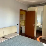 Rent 1 bedroom apartment of 60 m² in Rozzano