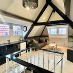 Rent 1 bedroom apartment of 50 m² in Den Haag