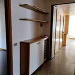 Rent 5 bedroom apartment of 100 m² in Treviso