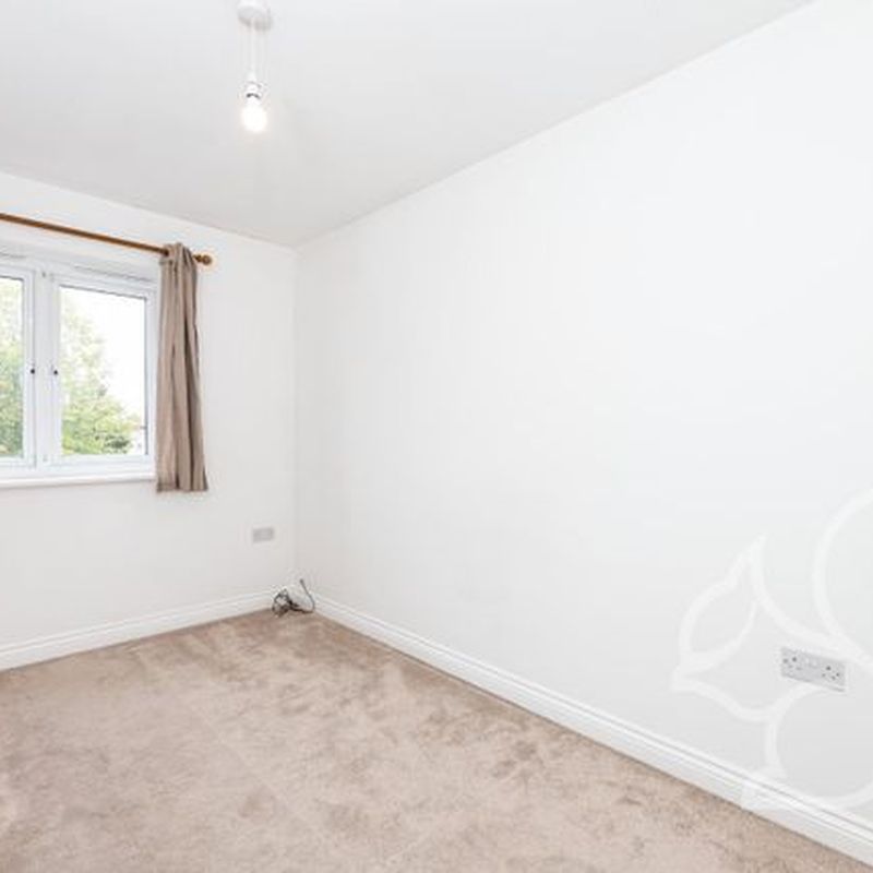 Property to rent in Trowel Place, Colchester CO2 Layer-de-la-Haye