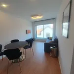 Rent 1 bedroom apartment of 35 m² in Porto