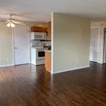 Rent 1 bedroom apartment in Kent