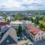 Rent 1 bedroom apartment of 35 m² in Lipník nad Bečvou