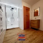 Rent 1 bedroom apartment of 68 m² in České Budějovice