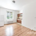 Rent 1 bedroom apartment in Praha 9