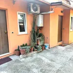 Rent 1 bedroom apartment in Rome