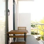 Rent 1 bedroom apartment of 72 m² in porto