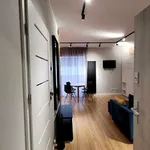 Rent 1 bedroom apartment of 31 m² in Poznan