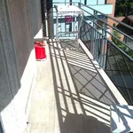 Rent 2 bedroom apartment of 50 m² in Avezzano