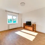 Pronajměte si 1 ložnic/e byt o rozloze 31 m² v Pilsen