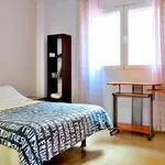 Alquilar 4 dormitorio apartamento en Alicante