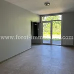 Appartement de 42 m² avec 2 chambre(s) en location à LAMASTRE