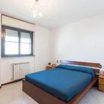 Rent 1 bedroom apartment in Milan