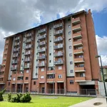 Rent 2 bedroom apartment of 58 m² in Turin