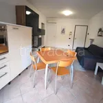 Rent 2 bedroom apartment of 55 m² in Padova