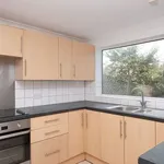 Rent 3 bedroom house in Brighton