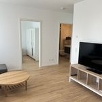 Rent 2 bedroom apartment of 51 m² in München