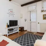 Rent 1 bedroom apartment of 55 m² in rome