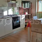 Rent 2 bedroom apartment of 60 m² in Sassello