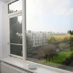 Rent 3 bedroom apartment of 80 m² in Leidschendam