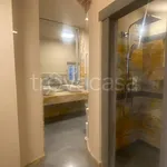 Rent 12 bedroom apartment of 990 m² in Lucca