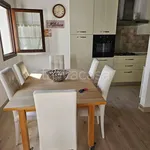 Rent 3 bedroom apartment of 90 m² in Padova