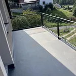 Pronájem vícegeneračního domu 95 m2, Havlovice