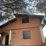 Rent 1 bedroom house in Nicolosi