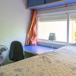 Rent a room in madrid