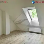 Rent 1 bedroom house of 300 m² in Pětihosty