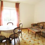 Rent 3 bedroom house of 85 m² in Roma