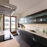 Rent 2 bedroom apartment of 165 m² in berlin