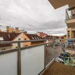 Rent 2 bedroom apartment of 39 m² in Capital City of Prague