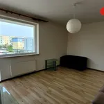 Rent 3 bedroom apartment of 64 m² in Poznan