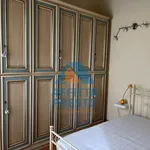 Rent 3 bedroom apartment of 70 m² in Pisa