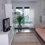 Rent 1 bedroom apartment of 60 m² in Bilbao