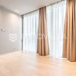 Rent 3 bedroom apartment of 152 m² in Zagreb